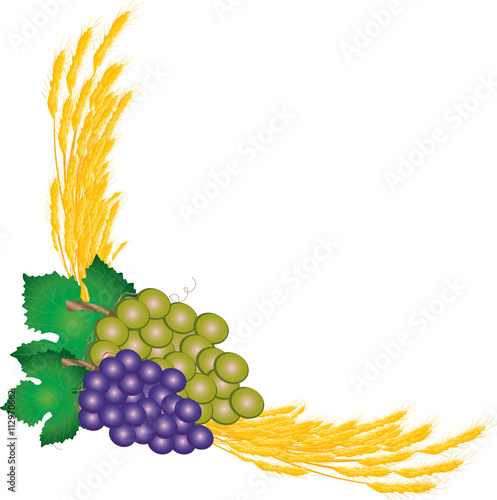 Eucharist symbols of bread and wine, chalice and host with wheat ears and grapes vine. FIrst communion christian color vector illustration.