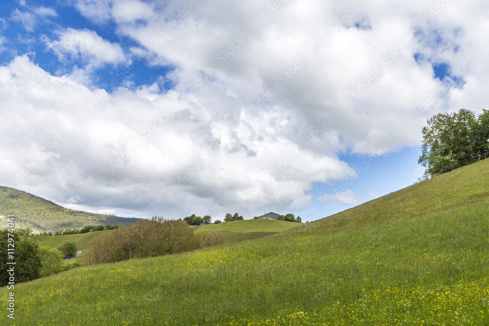 meadow near le Vernet at col de Mariaud