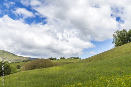 meadow near le Vernet at col de Mariaud