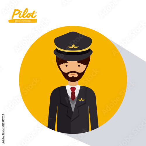 pilot professional design  