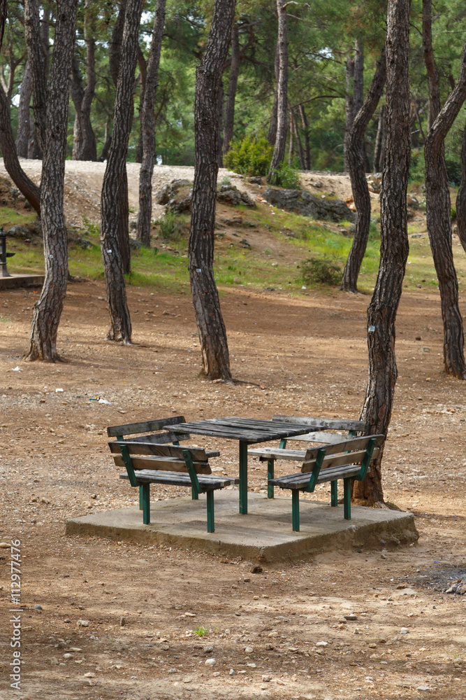 Bench in Natural Park