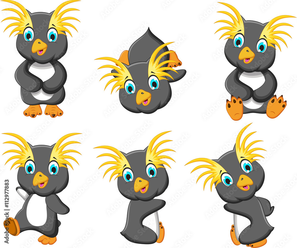set of king penguin cartoon posing set of king penguin cartoon posing