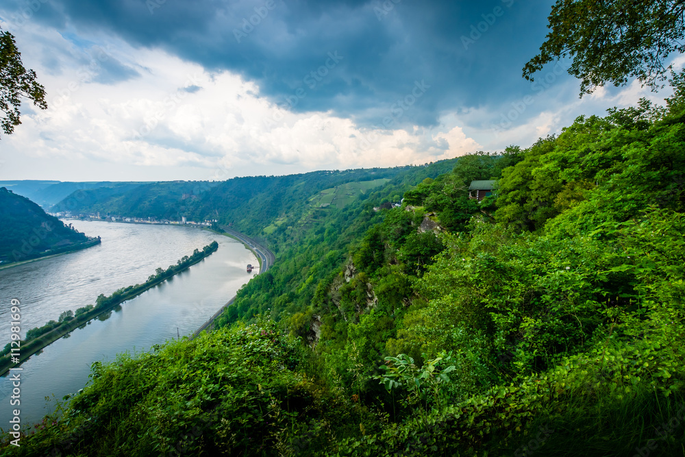 Fototapeta premium am Rhein