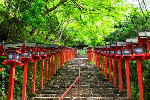 京都 新緑の貴船神社