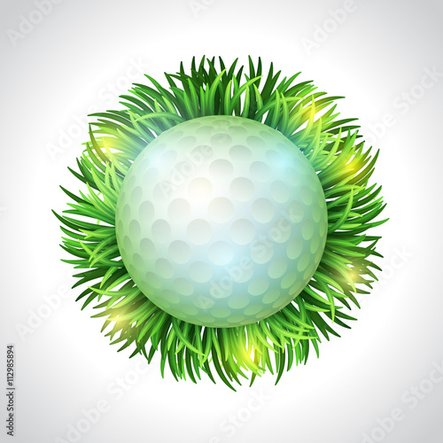 Golf ball on white tee and green grass