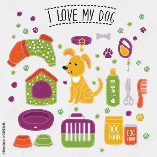 Set of accessories for dog