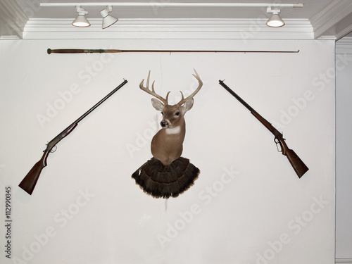 A hunting trophy in the middle of two old-fashioned rifles and a fishing rod photo