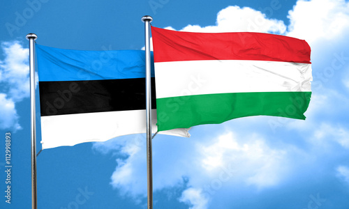 estonia flag with Hungary flag, 3D rendering Free Download estonia flag with Hungary flag, 3D rendering - GFXLoad