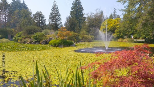 Small fountain running inside the pond full of water lilys in the botanical garden with people walkng at the background photo