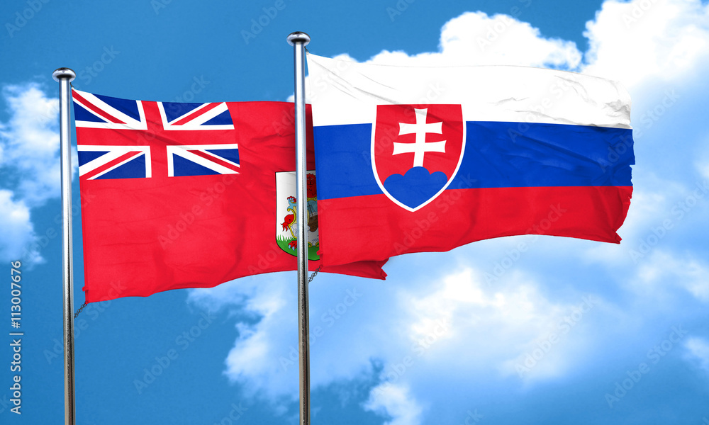bermuda flag with Slovakia flag, 3D rendering