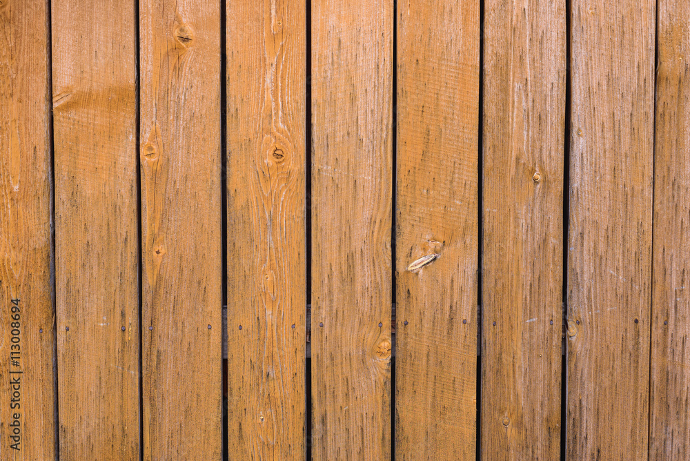 Fototapeta premium old wooden fence with plants as background