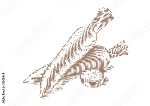 Two fresh raw carrots