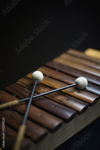 A xylophone photo