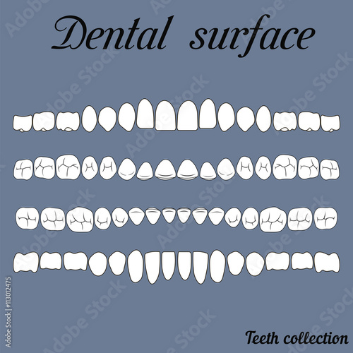 dental surface