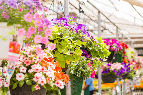 Garden Center