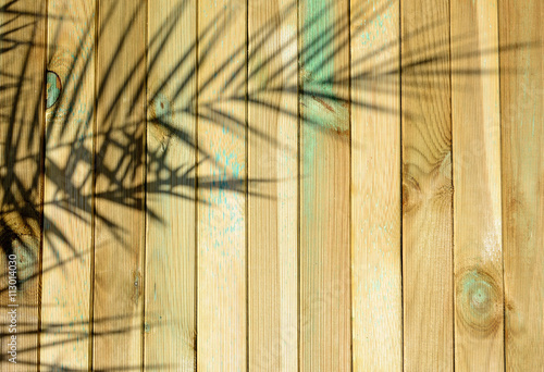 The shadow of the palm branch on a wooden surface