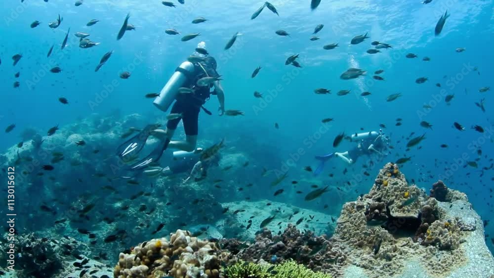 Damsel fish with divers behind Damsel fish with divers behind