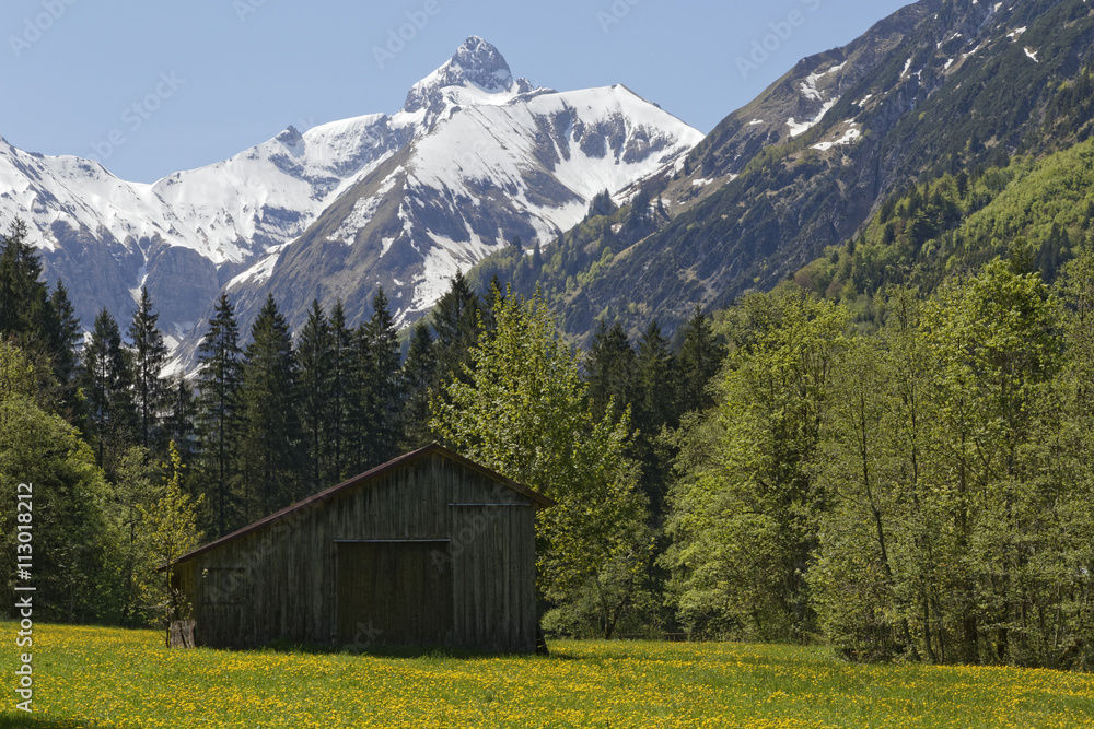 meadow with snow covered austrian alps: Kleinwalsertal