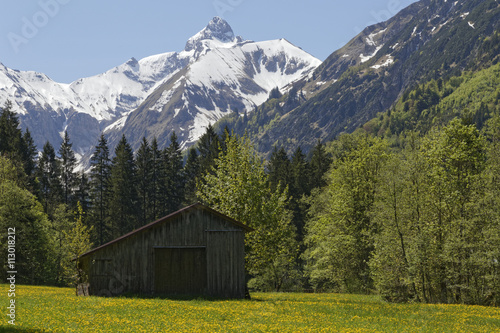 meadow with snow covered austrian alps: Kleinwalsertal © electricmango