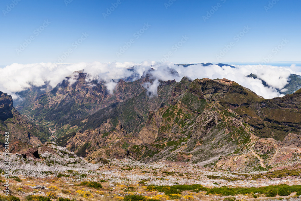 Trekking on Madeira island