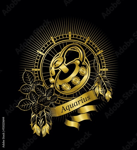 Aquarius zodiac sign