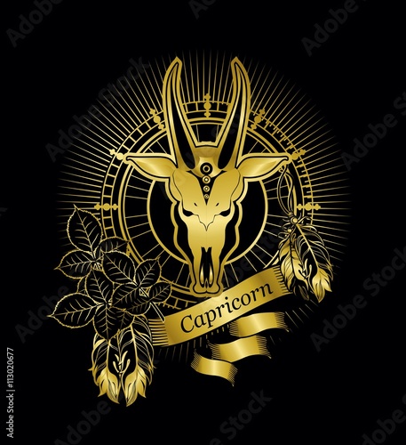 Capricorn zodiac sign