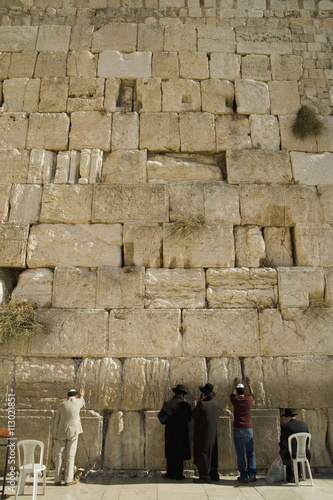 Five men praying at the Wailing Wall, rear view photo