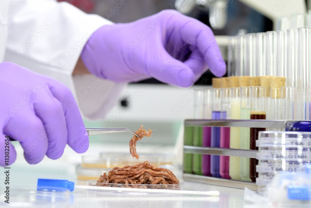 Lebensmittelkontrolle im Labor Hygiene Hackfleisch Lebensmittelkontrolle im Labor Hygiene Hackfleisch