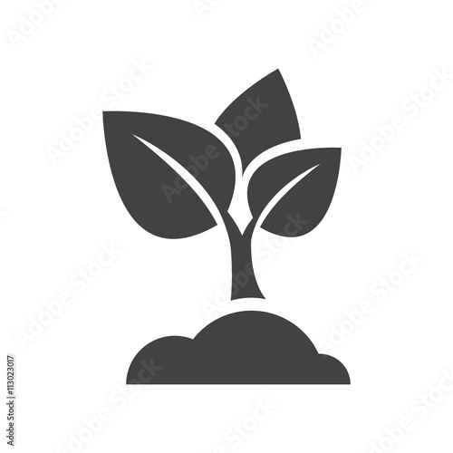 sapling icon vector