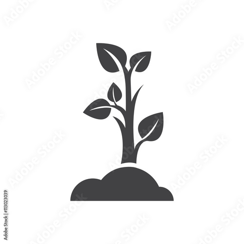 Canvas Print sapling icon design