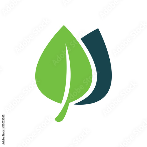 Icons of leaf  vector green