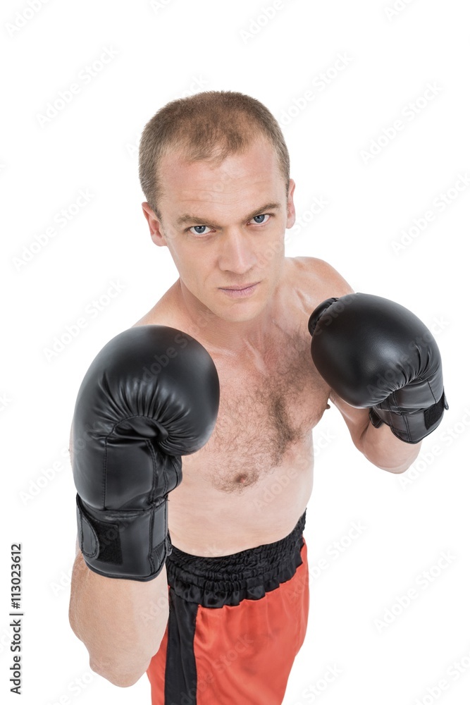 Portrait of boxer performing boxing stance Portrait of boxer performing boxing stance