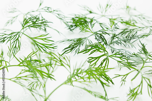Green dill on a white background. Pattern. Ornament. Food background