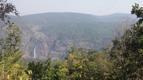 Simlipal Forest photo
