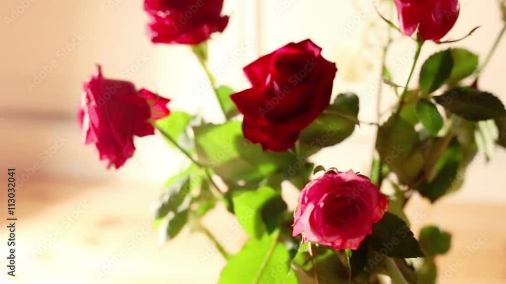 Rose bouquet dolly shot Rose bouquet dolly shot