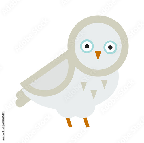 Owl bird cartoon vector