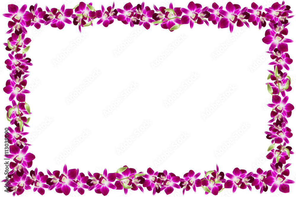  Beautiful orchid flower frame on white background.
