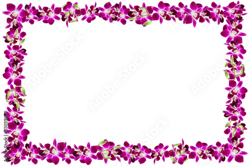 Fototapeta Naklejka Na Ścianę i Meble -   Beautiful orchid flower frame on white background.
