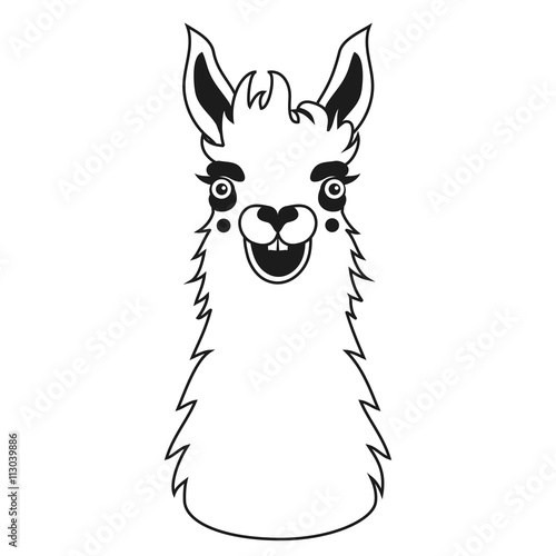 Vector black and white illustration with crazy smiley face llama.