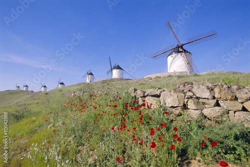 Windmills in Consuegra, Castilla La Mancha, Spain photo