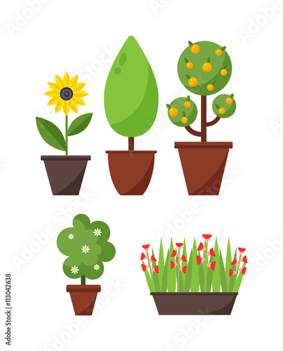 Home plant and tree vector illustration.