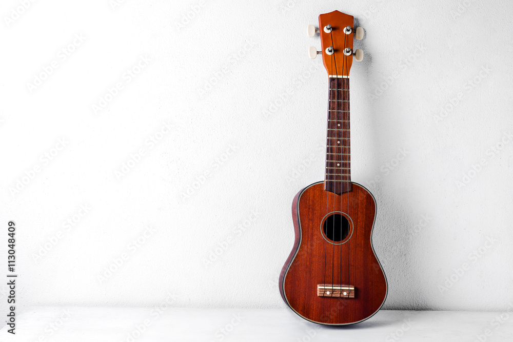 Fototapeta premium The brown ukulele