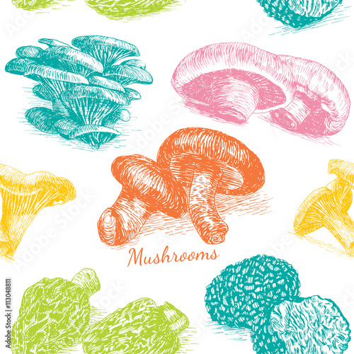 Illustrative sorts of mushrooms in seamless background