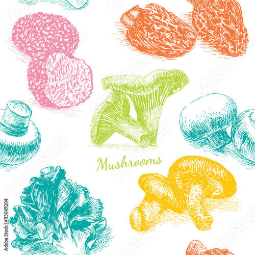 Illustrative sorts of mushrooms in seamless background