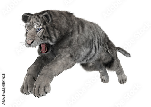 Fototapeta Naklejka Na Ścianę i Meble -  3D Rendering White Tiger on White