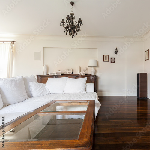 Elegant living room