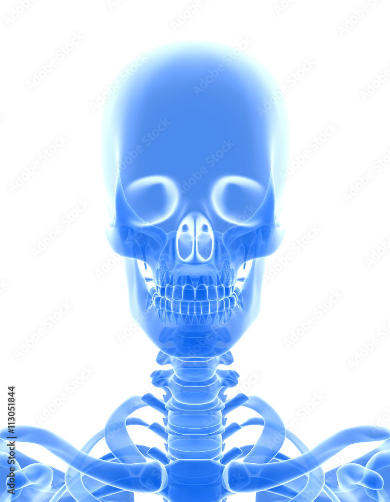 3D illustration of shiny blue skeleton system. 3D illustration of shiny blue skeleton system.