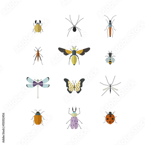 Vector collection of insects made in modern flat style. © lumpra