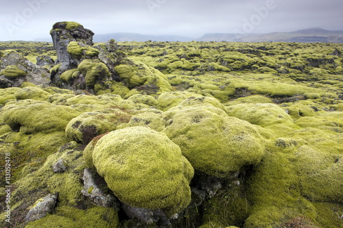 Lava field covered in green moss, South Iceland, Iceland photo