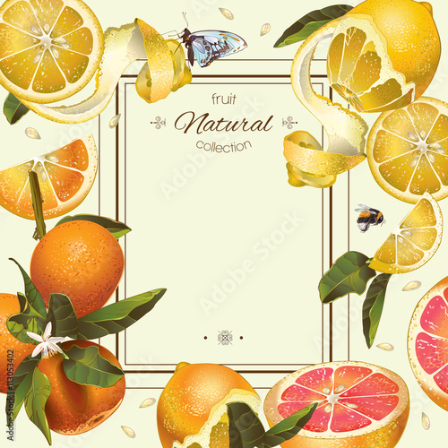 Vintage citrus frame